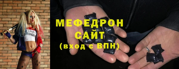 индика Беломорск