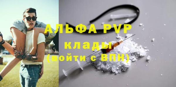 индика Беломорск