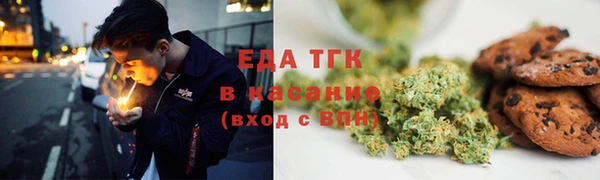 индика Беломорск