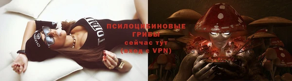 спиды Белокуриха