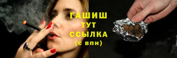 индика Беломорск