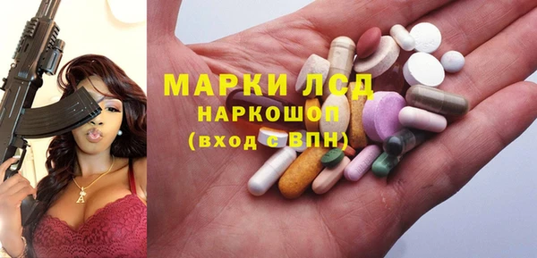 индика Беломорск