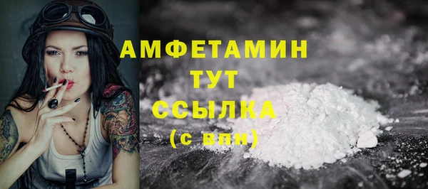 индика Беломорск