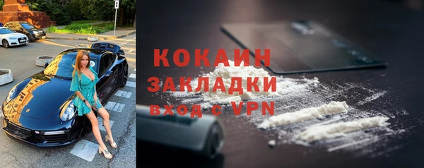 индика Беломорск