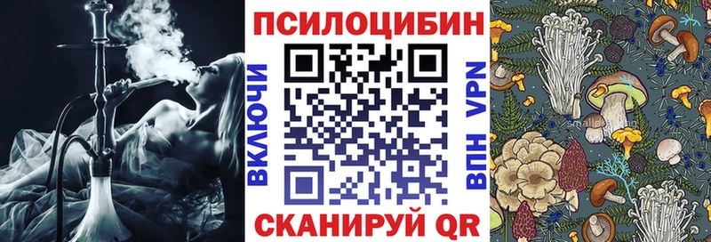 KRAKEN онион  Очёр  Псилоцибиновые грибы Magic Shrooms 